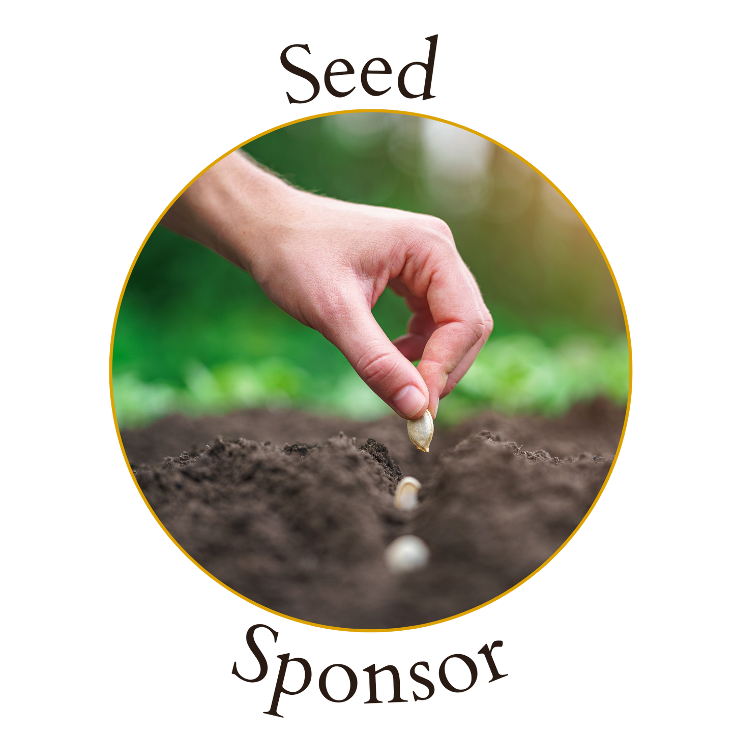 Seed Sponsor image 0