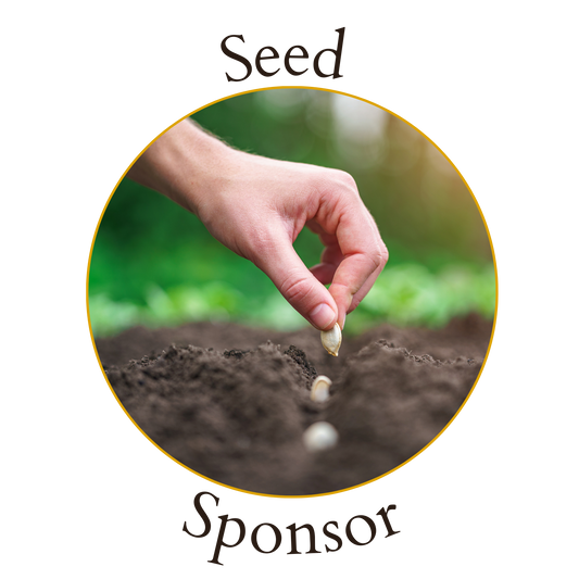 Seed Sponsor image 0