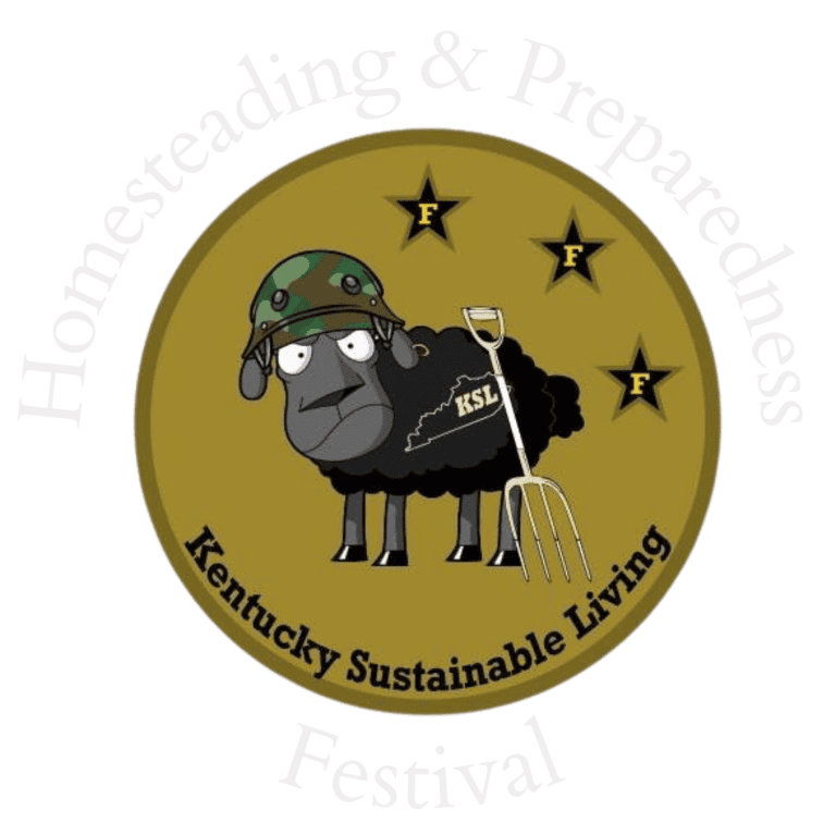 FESTIVAL