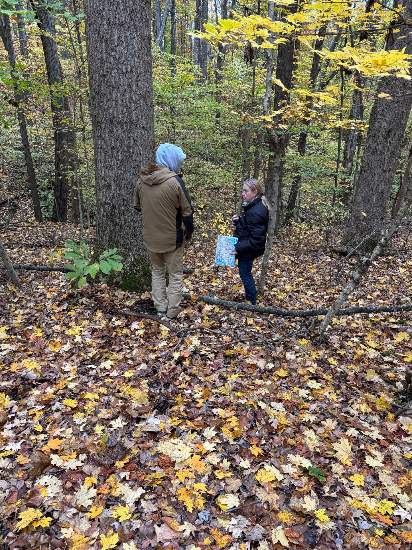 LAND NAVIGATION WORKSHOP