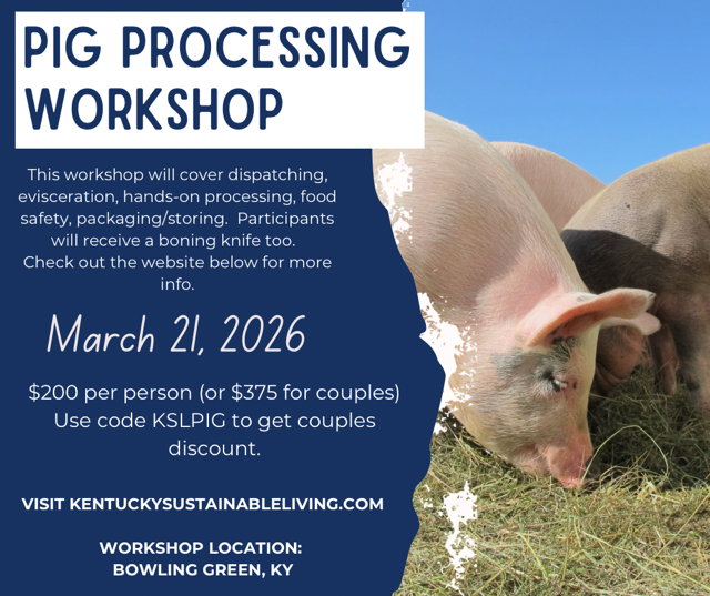 Advertisement for a pig processing workshop with two pigs on a blue background.