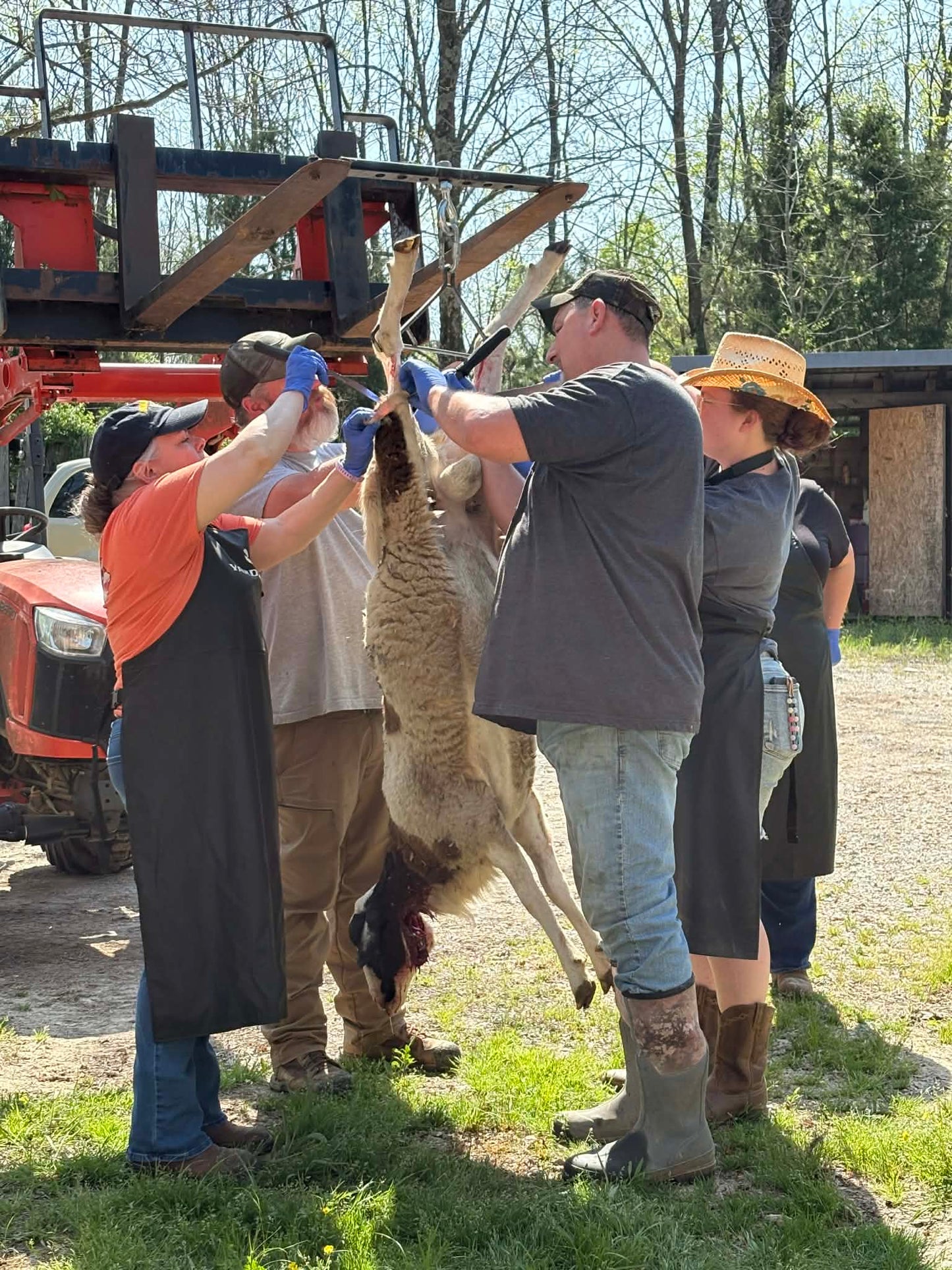 SHEEP PROCESSING WORKSHOP