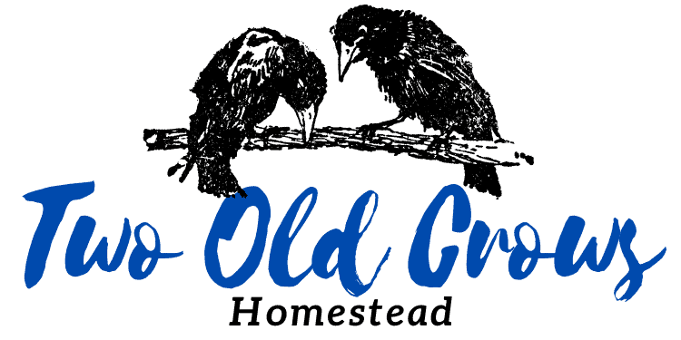 Two Old Crows