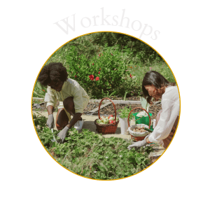 Workshops