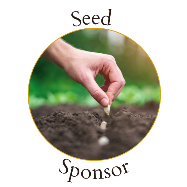 Seed Sponsor